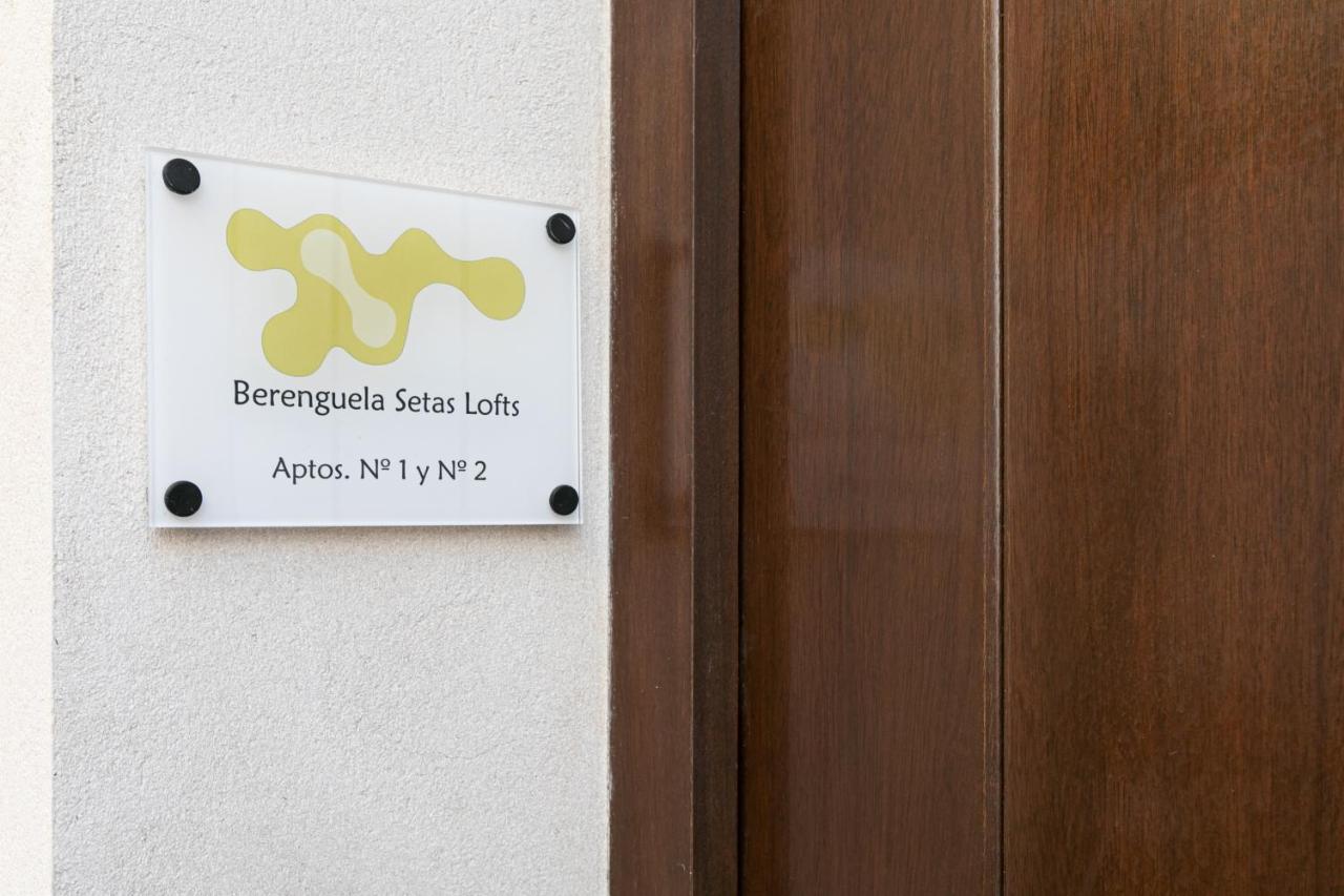 Appartement Berenguela Setas Lofts Sevilla